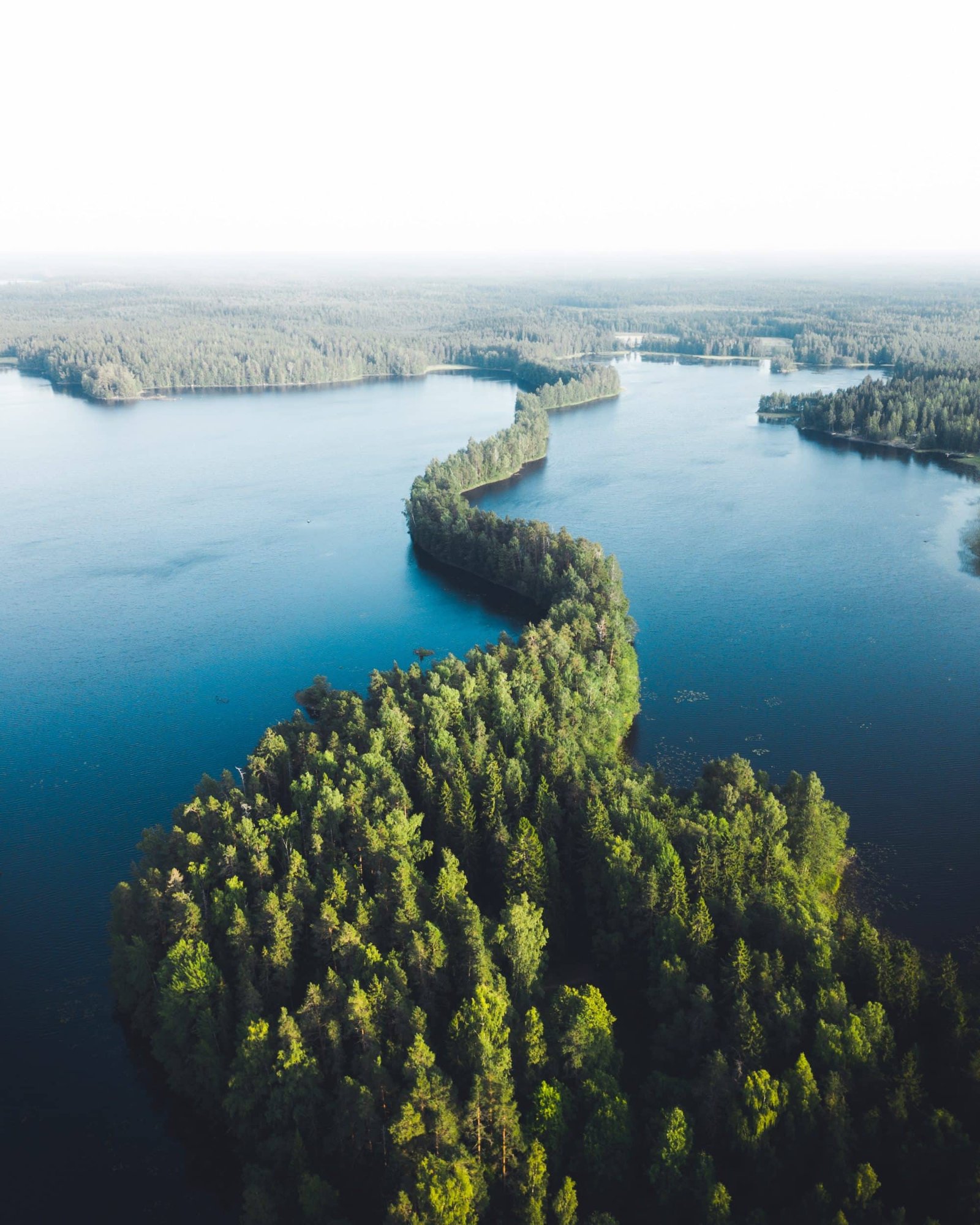 Photograph of Finnish trees separating two lakes